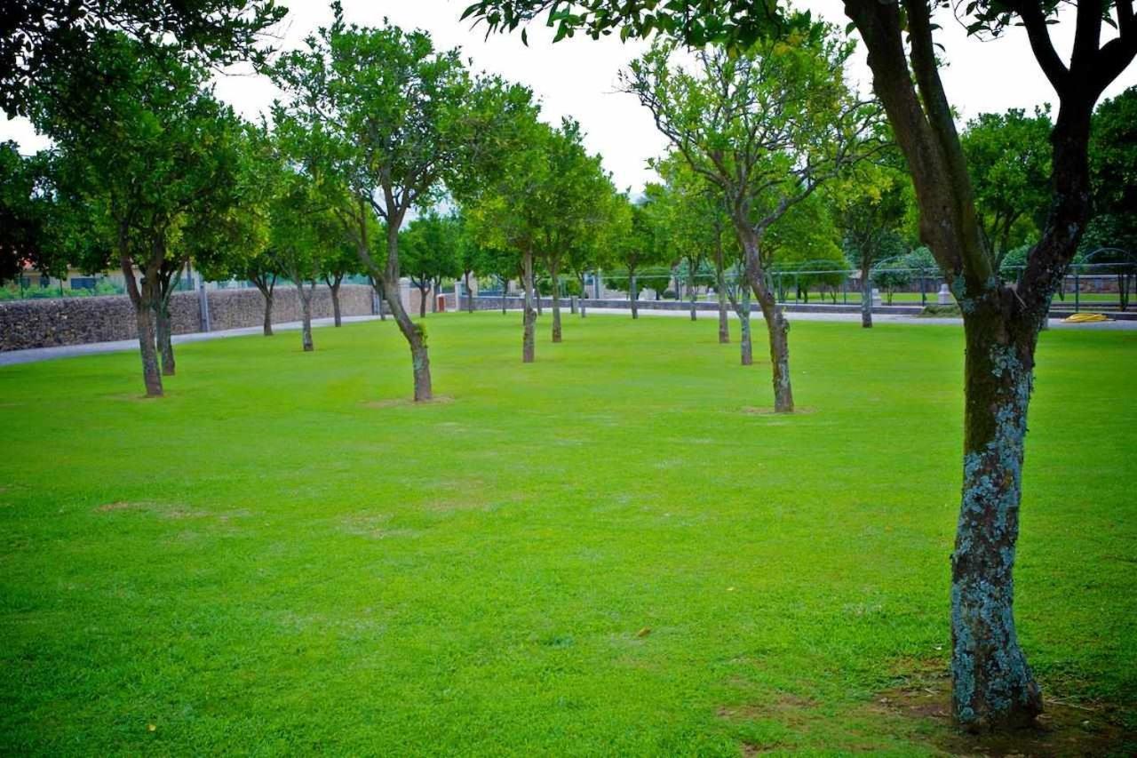 Quinta De Resela Vila Verde (Braga) Exterior foto